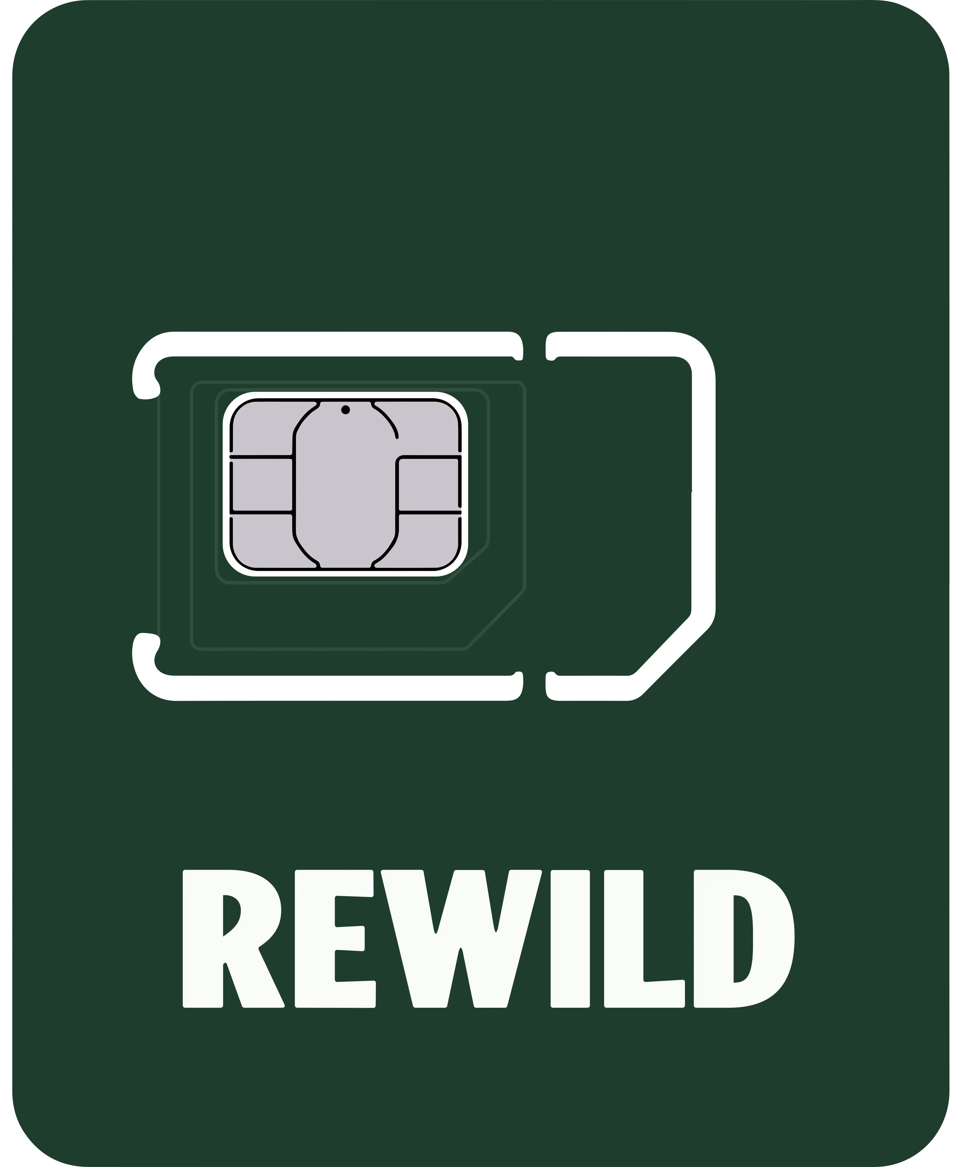 Standard SIM
